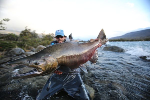 Fly-fishing Image of King salmon shared by Juan Manuel Biott – Fly dreamers
