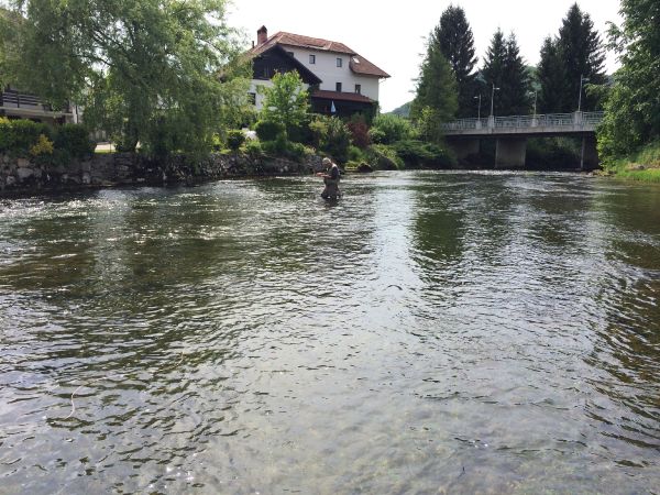 Brown trout Fly-fishing Situation – Matej Flyfishingodec shared this Photo in Fly dreamers 