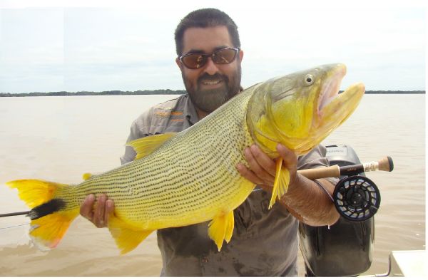 Golden Dorado Fly-fishing Situation – JUAN Winchester shared this Cool Pic in Fly dreamers 