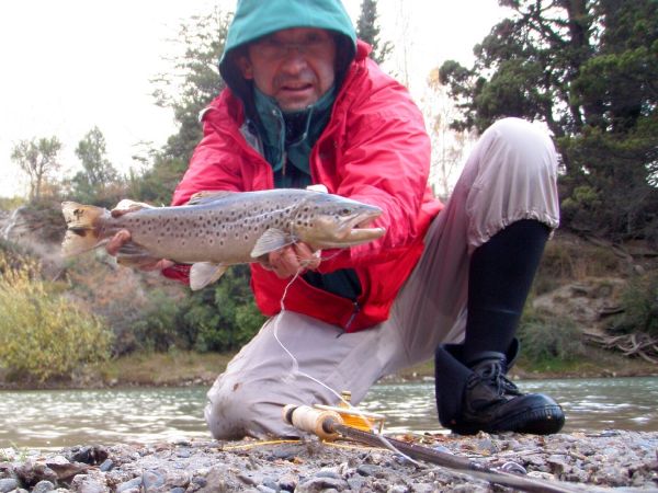 Fly-fishing Photo of Brown trout shared by Rodo Radic – Fly dreamers 
