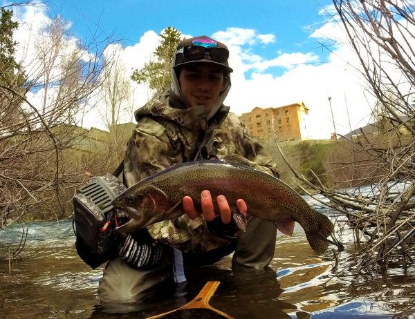Fly-fishing Photo of Rainbow trout shared by Daniel Macalady – Fly dreamers 