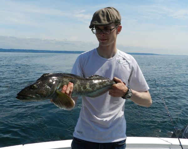 Fly-fishing Pic of Lingcod shared by Colton Graham – Fly dreamers 
