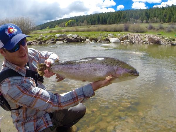 Eric Stollar 's Fly-fishing Image of a Rainbow trout – Fly dreamers 