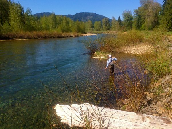 Sweet Fly-fishing Situation of Cutties - Photo shared by Kimbo May – Fly dreamers 