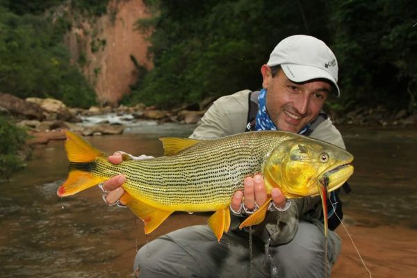 Claudio Ametller 's Fly-fishing Catch of a Golden Dorado – Fly dreamers 