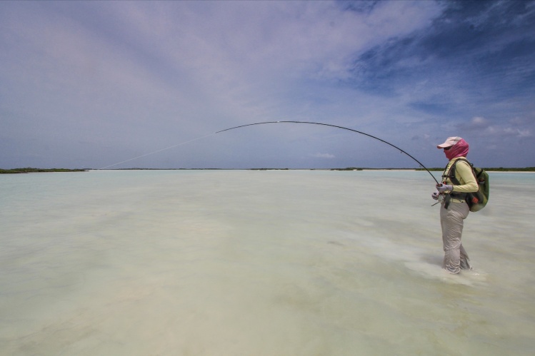 Photo by Alphonse Fishing Co Team