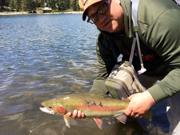 Michael Anderson 's Fly-fishing Catch of a Rainbow trout – Fly dreamers 