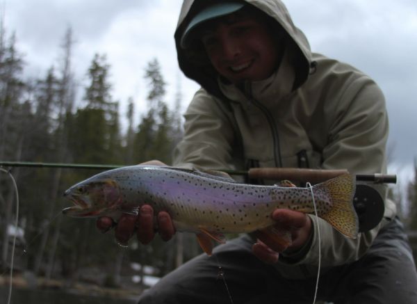 Rudy Babikian 's Fly-fishing Picture of a Cutthroat – Fly dreamers 