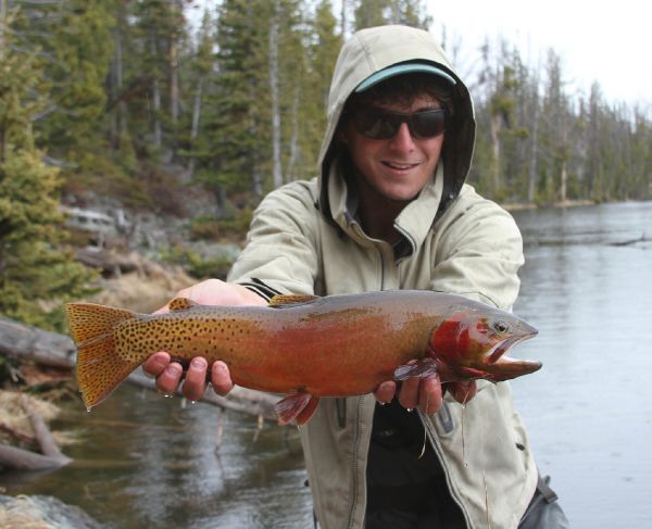 Fly-fishing Pic of Cutthroat shared by Rudy Babikian – Fly dreamers 