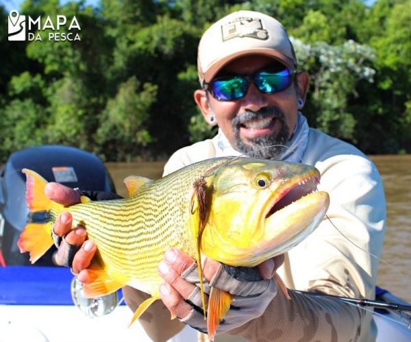 Fly-fishing Image of Golden Dorado shared by Kid Ocelos – Fly dreamers