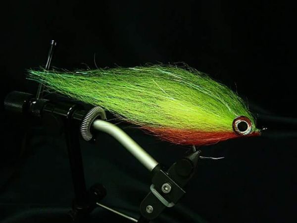 Fly-tying for Peacock Bass - Photo shared by Marco Aurélio – Fly dreamers 