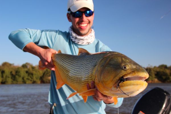 Victor Srougi 's Fly-fishing Catch of a Golden Dorado – Fly dreamers 