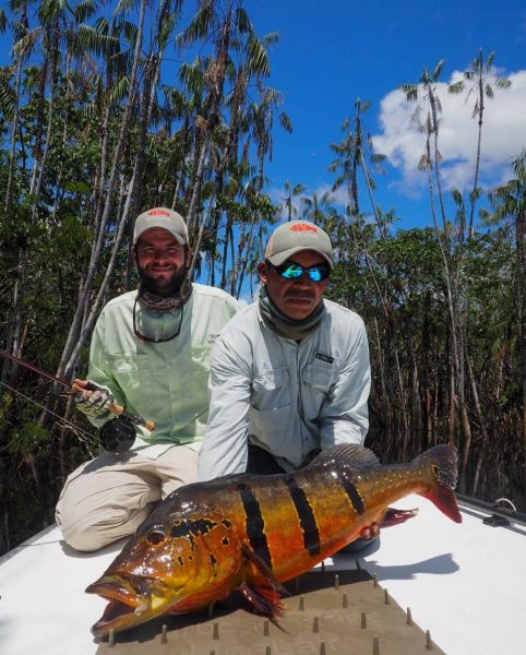 Fly-fishing Picture of Peacock Bass shared by Breno Ballesteros – Fly dreamers