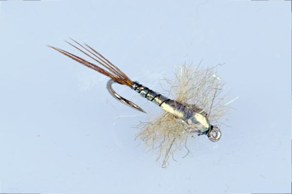 Colin Pittendrigh 's Fly for Rainbow trout - Pic – Fly dreamers 