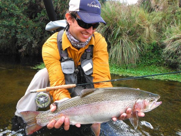 Fly-fishing Pic of Rainbow trout shared by Esteban Psenda – Fly dreamers 