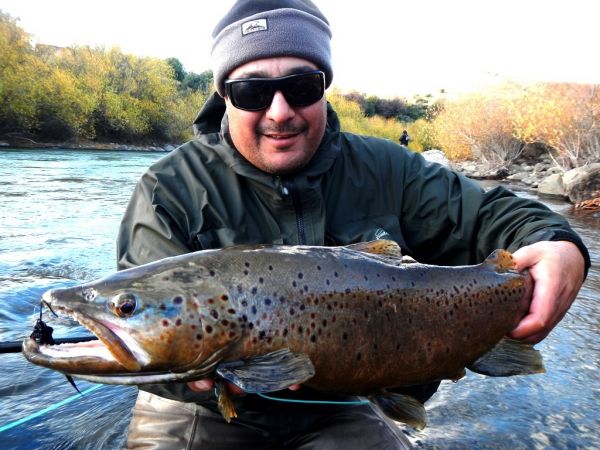 Fly-fishing Photo of Brown trout shared by Rio Dorado Lodge – Fly dreamers 