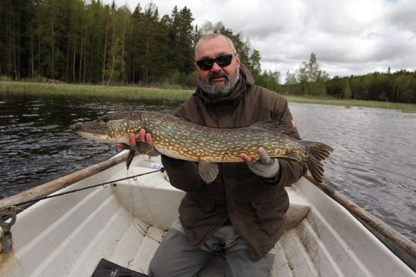 Andreas Vendler 's Fly-fishing Picture of a Pike – Fly dreamers 