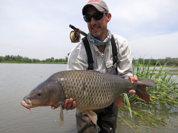 Fly-fishing Pic of Carp shared by Jean Baptiste Vidal – Fly dreamers 