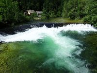 #dam #400years #radovna #krnica #browntrout #rainbowtrout #crystalcleare