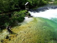 "flyfishing #brownies #rainbowes