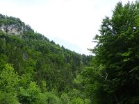 #picturesque #alpine #valley #radovna #andy #frenchnymphing 