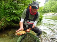 #andy #native #rainbowtrout #dryfly #redtag