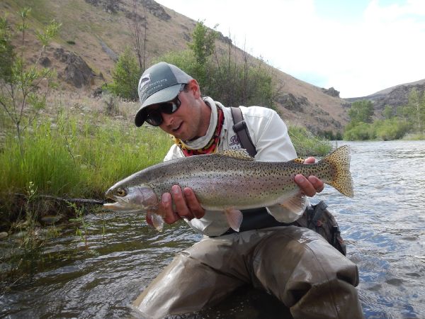 Robby Gaworski 's Fly-fishing Photo of a Rainbow trout – Fly dreamers 
