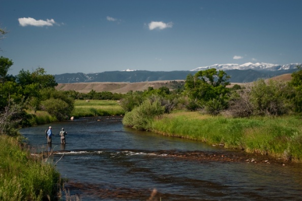 Trout Stream in Bighorn Mountains