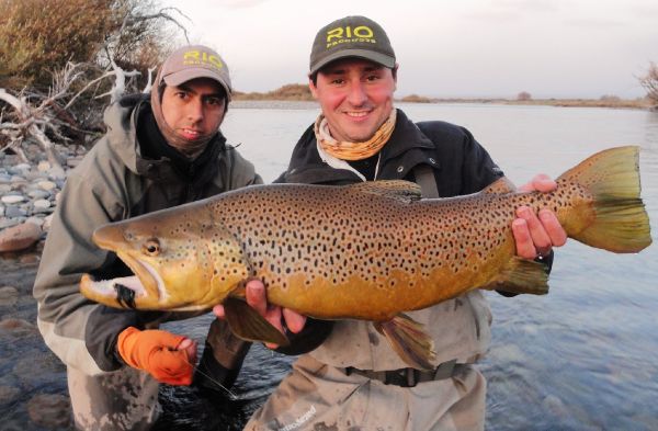 Gaston Ambrosino 's Fly-fishing Photo of a Brownie – Fly dreamers 
