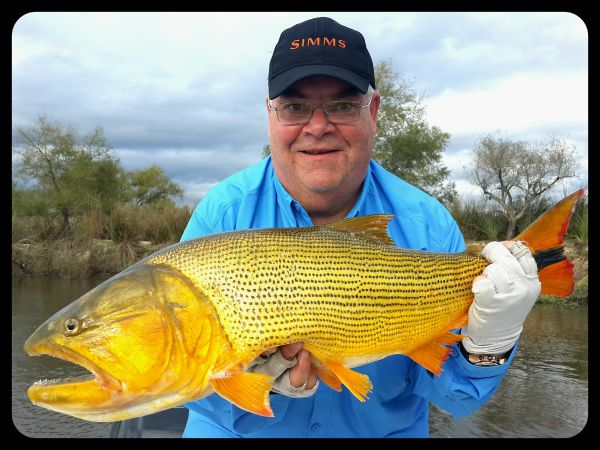 Fly-fishing Picture of Golden Dorado shared by Horacio Fernandez – Fly dreamers