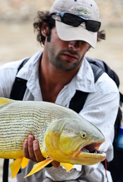 Fly-fishing Image of Golden Dorado shared by Alfonso Aragon – Fly dreamers