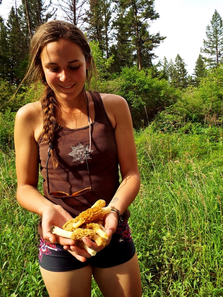 Anna found some Morel Mushrooms. They are good!!
