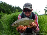 #andy #grayling #dryfly #tributary #malenščica