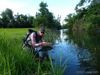 #andy #confluece #tributary #malenščica #nice #grayling