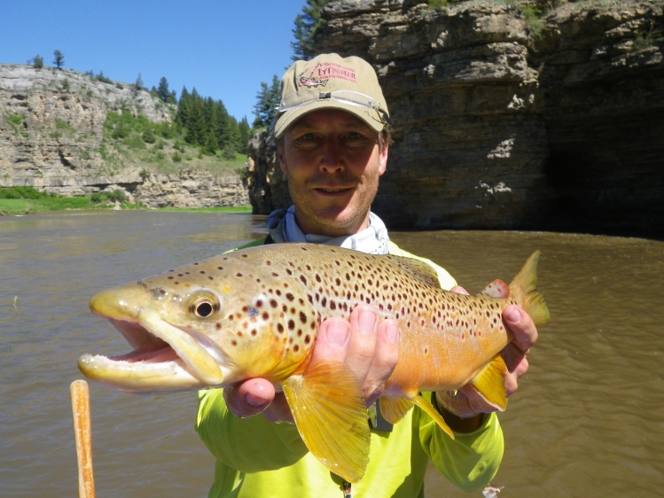 Smith River Brown