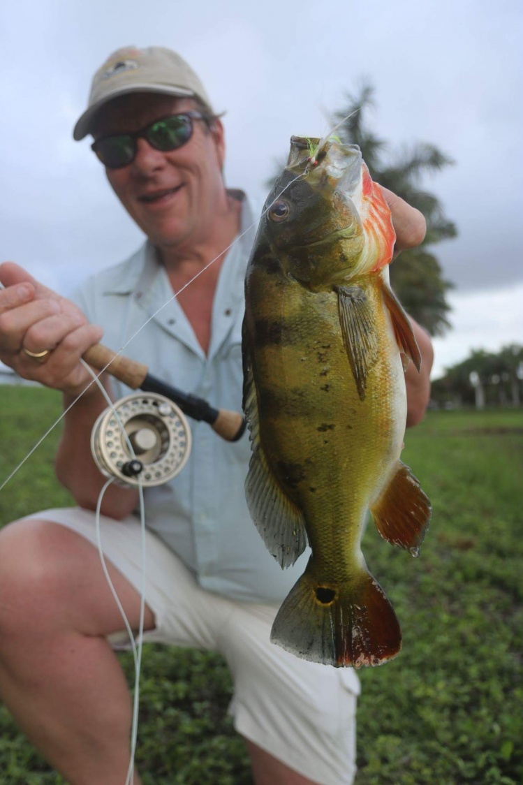 New client Tony H. from England got on a bunch of peas on 5 &amp; 9wt today in Miami. We only had a few shots at big peas but that's fishing. It was definitely challenging with the low viz, overcast, avoiding showers &amp; on fly. We had 2 freshy snooks chase the