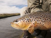 Foto de pesca con mosca