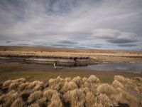 Foto de pesca con mosca