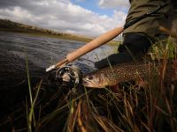 Foto de pesca con mosca