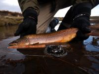 Foto de pesca con mosca