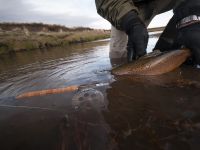 Foto de pesca con mosca