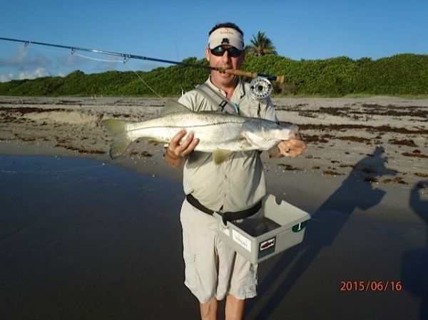 Fly-fishing Pic of Snook - Robalo shared by David Bullard – Fly dreamers 