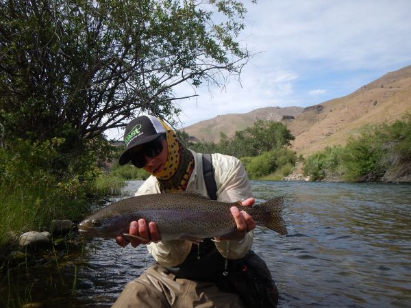 Robby Gaworski 's Fly-fishing Photo of a Rainbow trout – Fly dreamers 