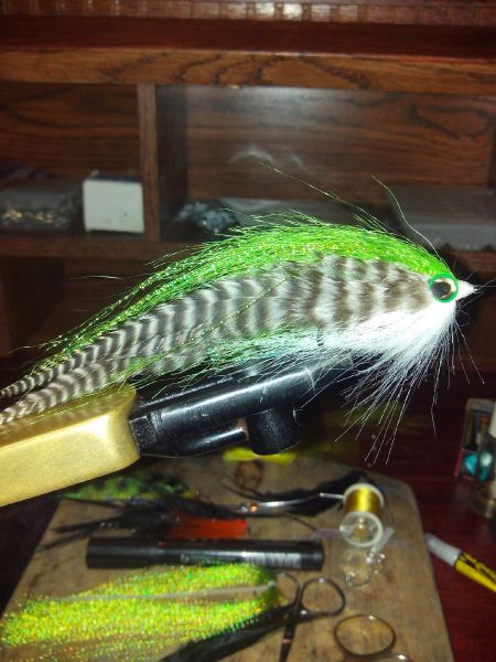 Fly-tying for Tiger of the River - Photo shared by Leo Cardella – Fly dreamers 