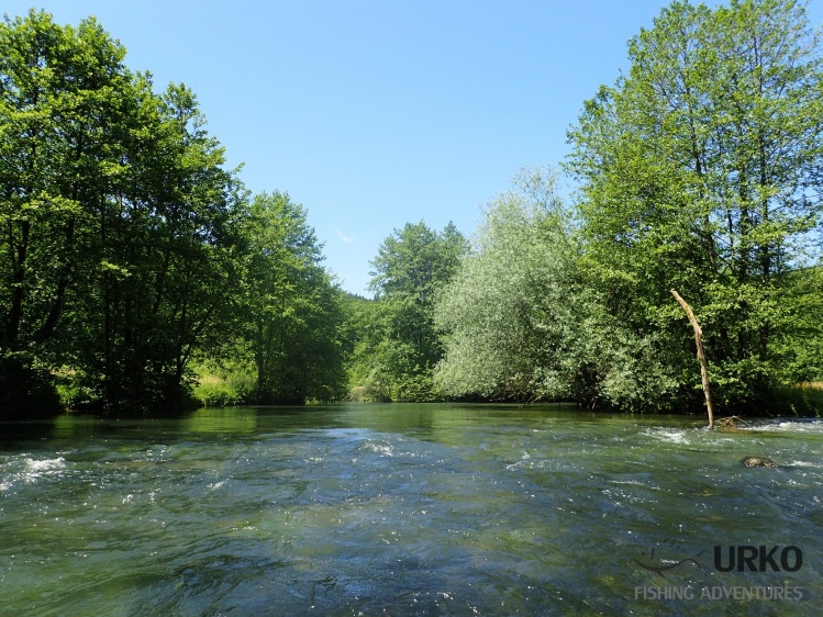 Confluence of two spring parts