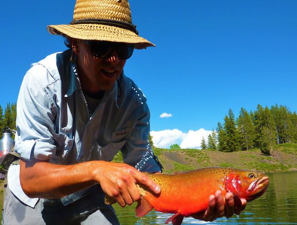 Fly-fishing Image of Cutthroat shared by Jared Martin – Fly dreamers