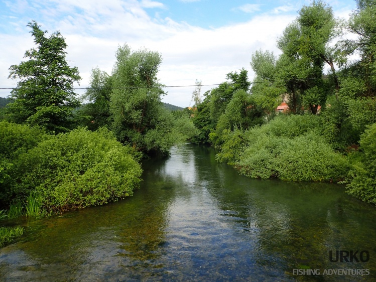 Unica river in the village of Planina
