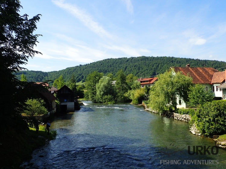 Krka River in the village of Krka