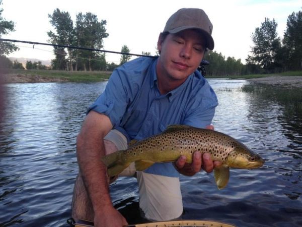 Fly-fishing Picture of Brownie shared by Ryan Breault – Fly dreamers