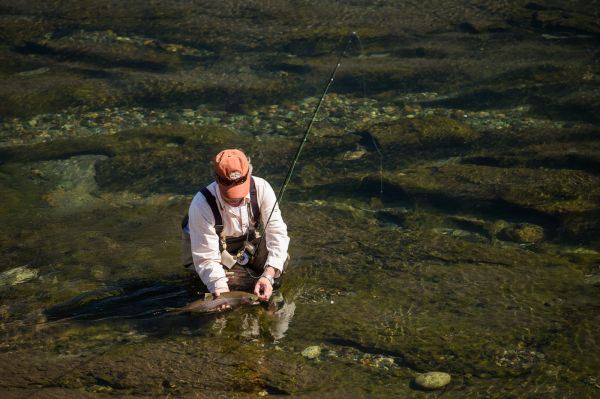 Fly-fishing Photo of Browns shared by Tipiliuke Lodge – Fly dreamers 